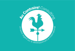 Au Contraire! Consulting